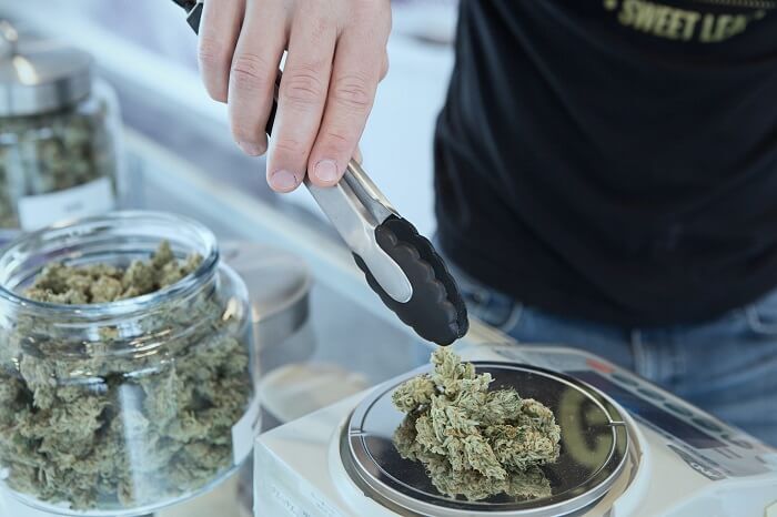 weighing cannabis